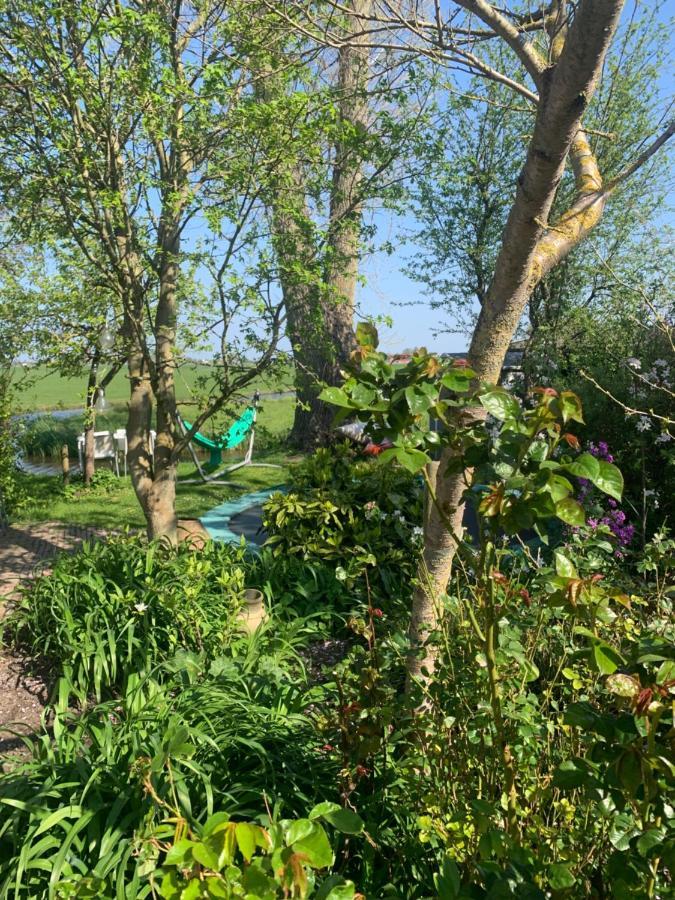 Very Nice Cottage In Durgerdam, With Private Garden, Free Parking, Pets Allowed Amsterdam Extérieur photo
